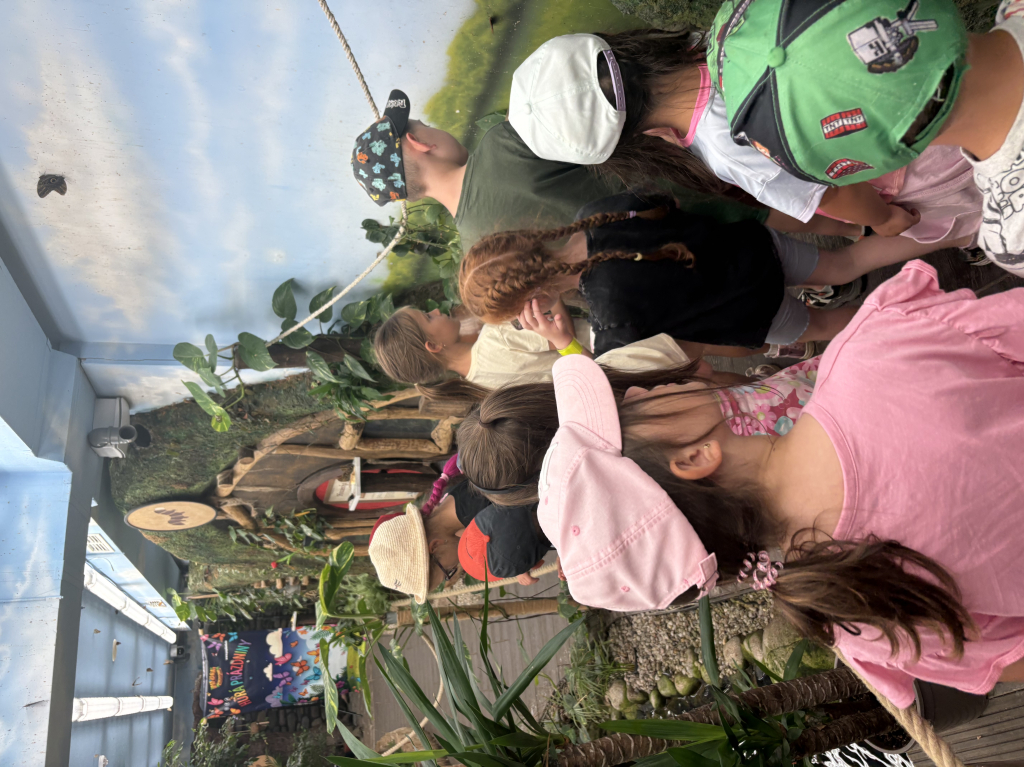 IMG_6562.jpeg