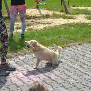 Žabka (38).JPG