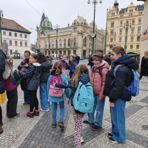 OP JAK Veletržní palác